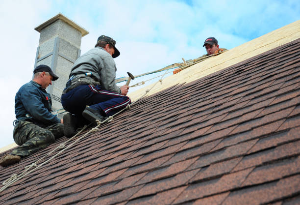 Best New Roof Installation  in Silver City, NM